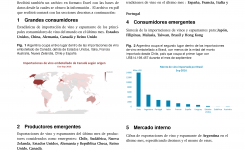 Informe Resumen Vinos